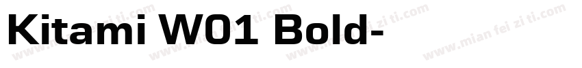 Kitami W01 Bold字体转换